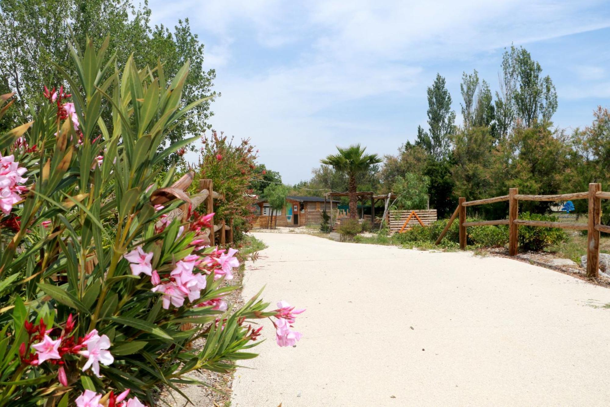 Sandilou Lespetitsbonheurs 2 Chambres Climatise Tv Sigean Esterno foto