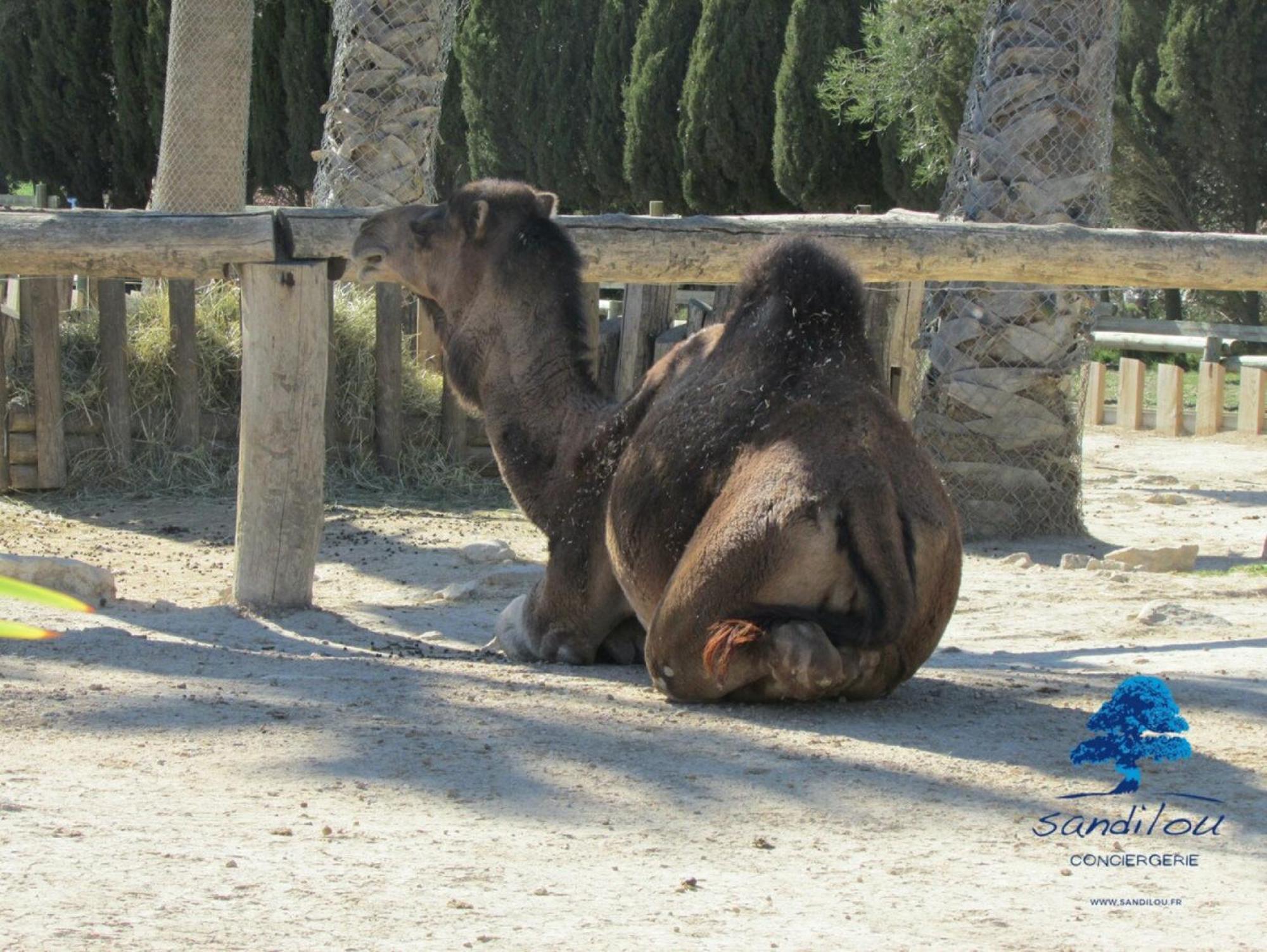 Sandilou Lespetitsbonheurs 2 Chambres Climatise Tv Sigean Esterno foto